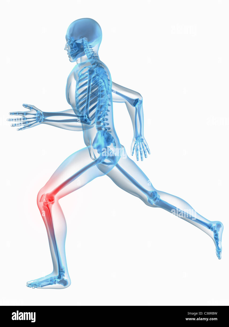 Jogger avec les articulations des genoux douloureux Banque D'Images