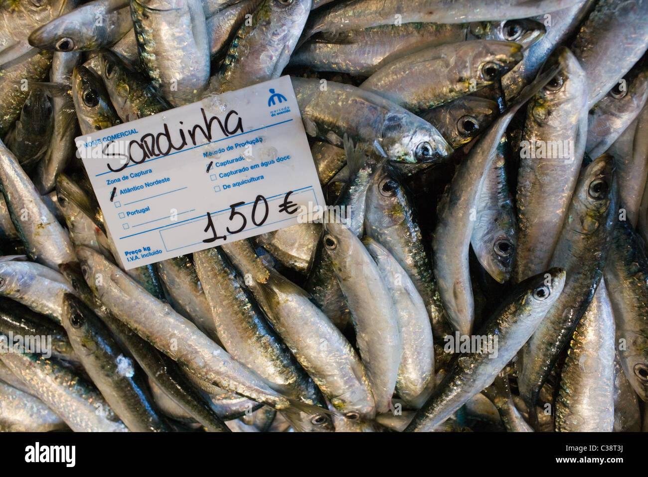 Sardines fraîches pour la vente au marché de Lagos, Algarve, Portugal Banque D'Images