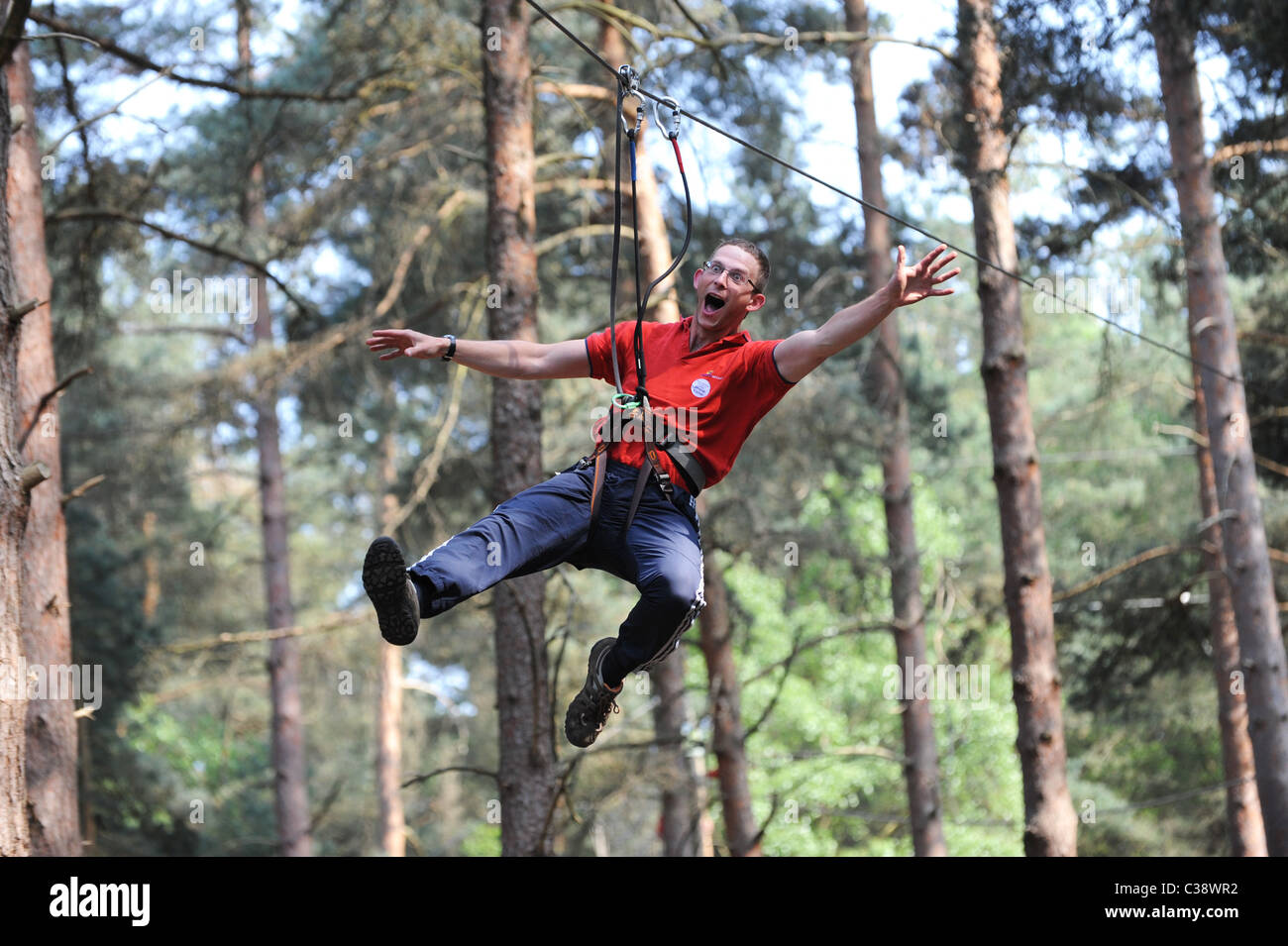 L'homme monté sur fil zip à Go Ape dans Swinley Forest près de Bracknell Angleterre Uk Banque D'Images