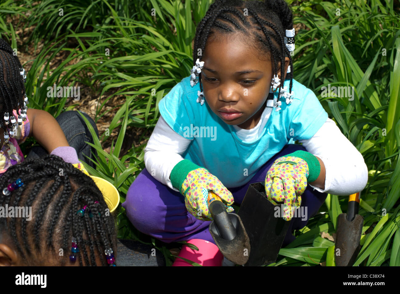 Girl Scouts et les Brownies patrimoine végétal roses dans Mt. Morris Park dans le quartier de Harlem Heritage Rose à New York Banque D'Images