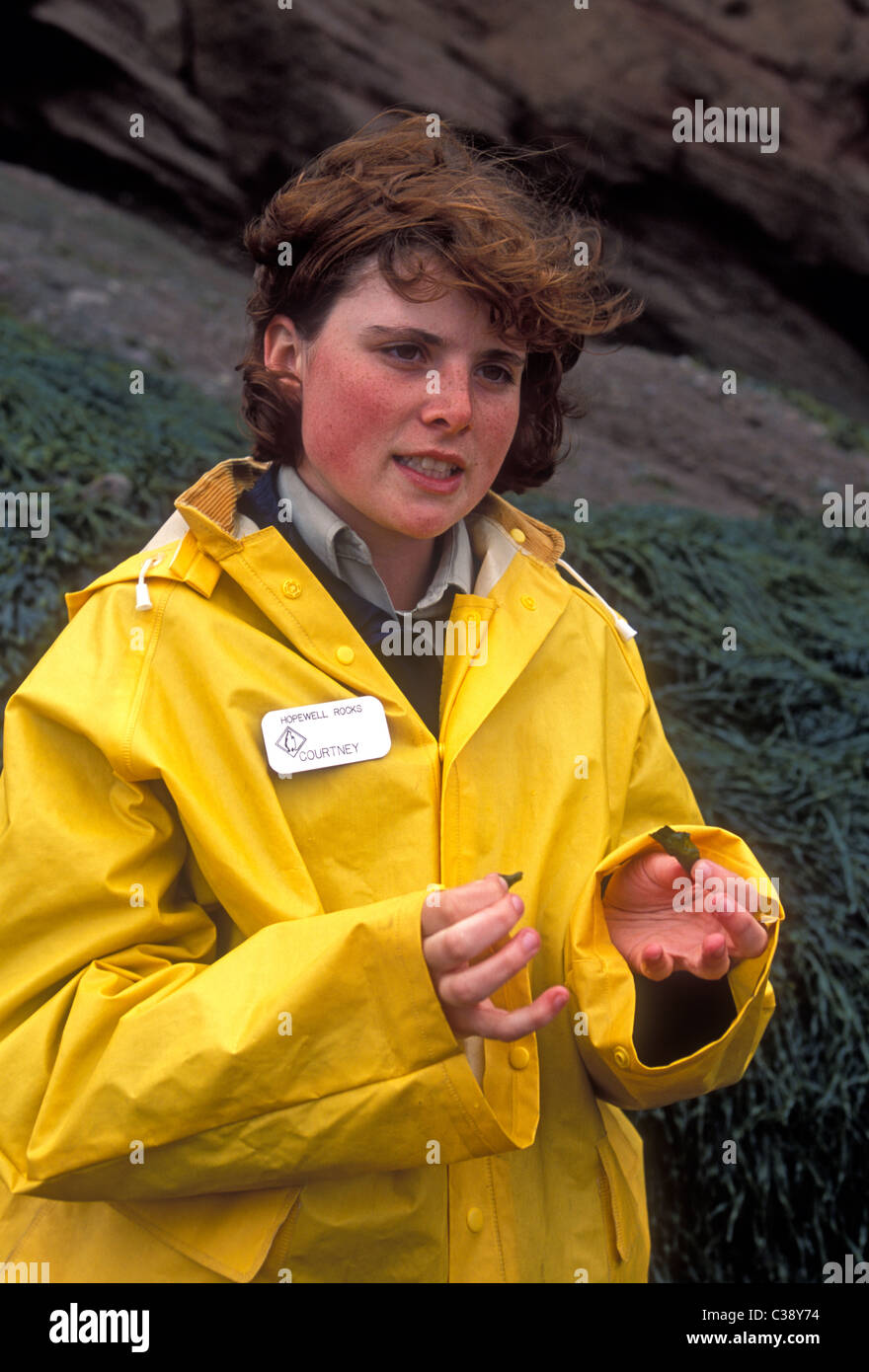 Park ranger, guide, Hopewell Rocks, baie de Fundy, Baie de Fundy, Hopewell Cape, Province du Nouveau-Brunswick, Canada, Amérique du Nord Banque D'Images