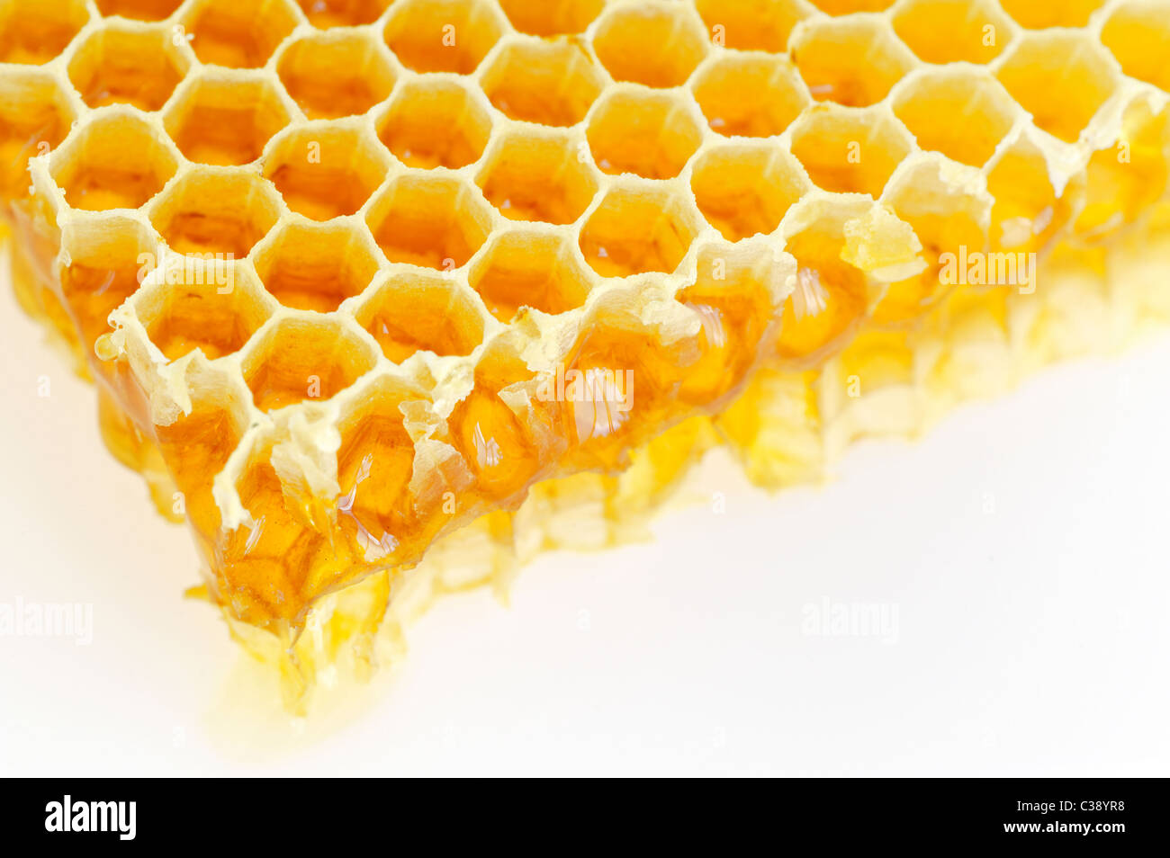 Honeycomb isolated on white Banque D'Images