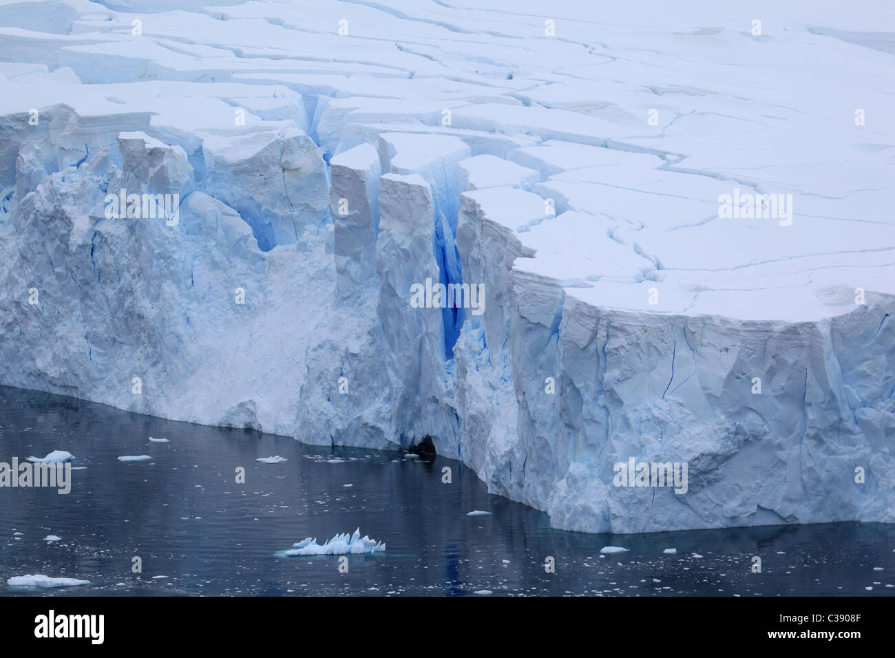 Bord du glacier à [Neko Harbour], [Andvord Bay], [Péninsule Antarctique] avec des tours du vieux [blue ice] prête à vêler Banque D'Images