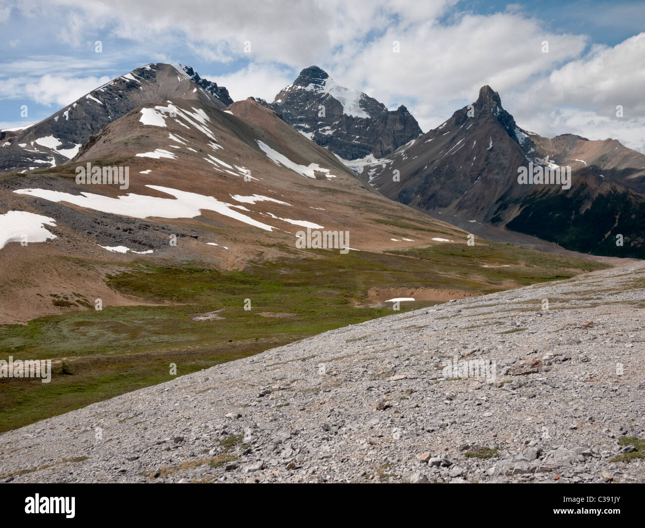 Parker Ridge est un arrêt touristiques populaires le long de la promenade des Glaciers dans le parc national de Banff Banque D'Images