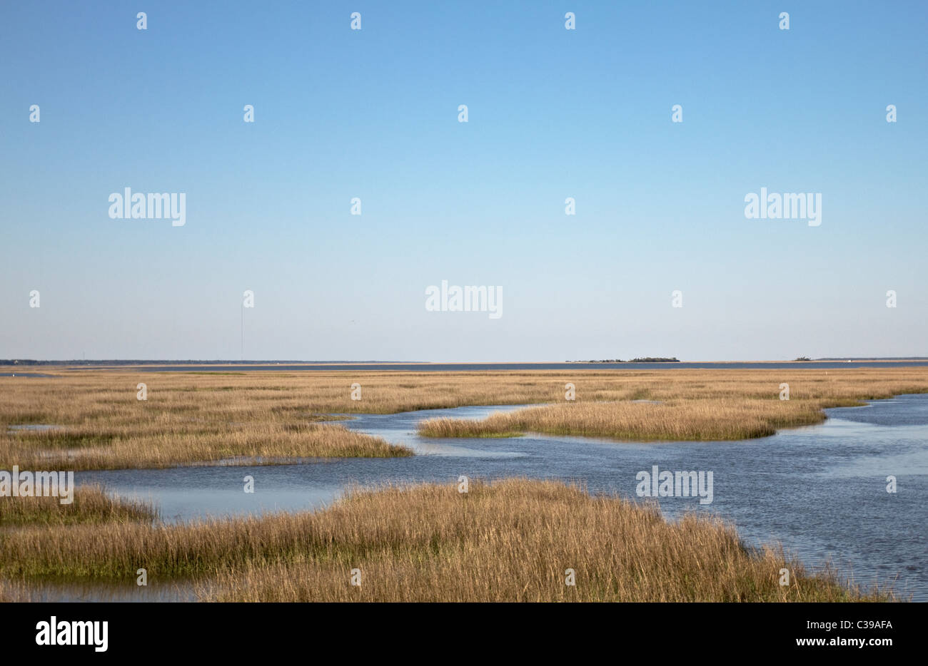 Marais de sel le long des côtes de Caroline du Sud près de Isle of Palms island Banque D'Images