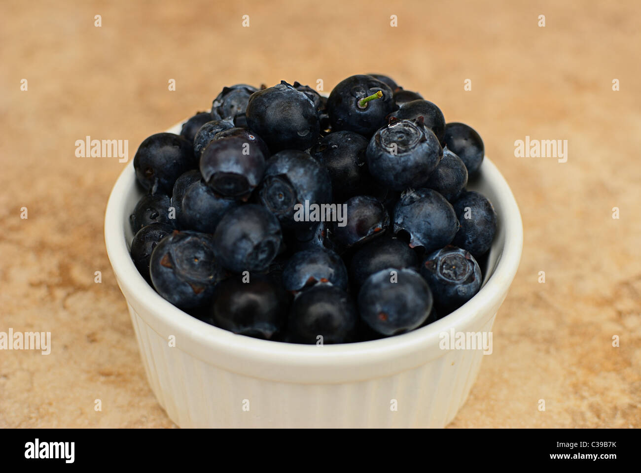 Photographie de bleuets dans une moisissure blanche sur un fond de marbre. Banque D'Images