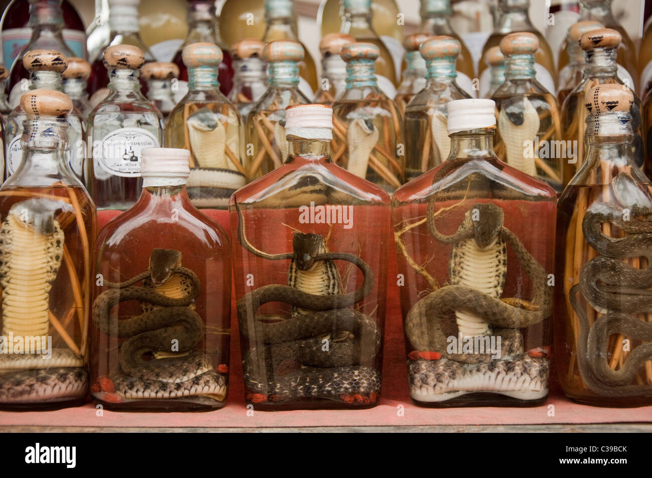 Les serpents et les scorpions, conservé dans du riz Whiskey dans un village du Mékong au Laos Banque D'Images