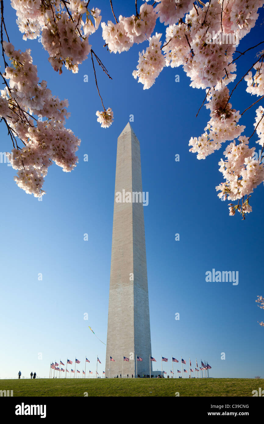 Le Washington Monument au National Mall à Washington, DC entouré par des drapeaux américains Banque D'Images