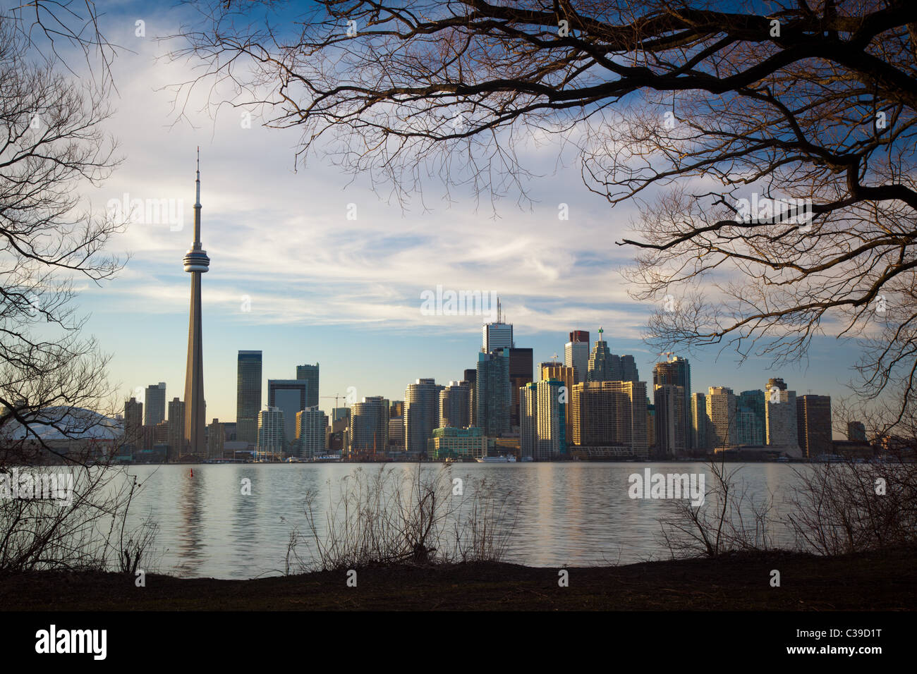 Le centre-ville de Toronto Skyline, y compris la Tour CN et le Centre Rogers, comme on le voit dans la fin d'après-midi, de l'île Centre Banque D'Images