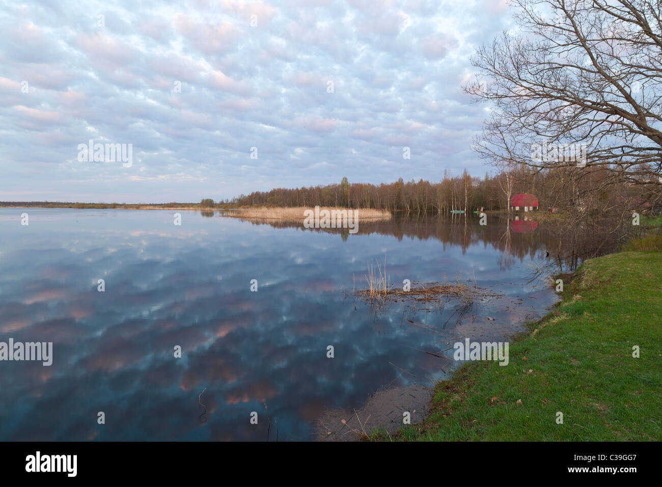Suur-Emajõgi la rivière inondée Banque D'Images