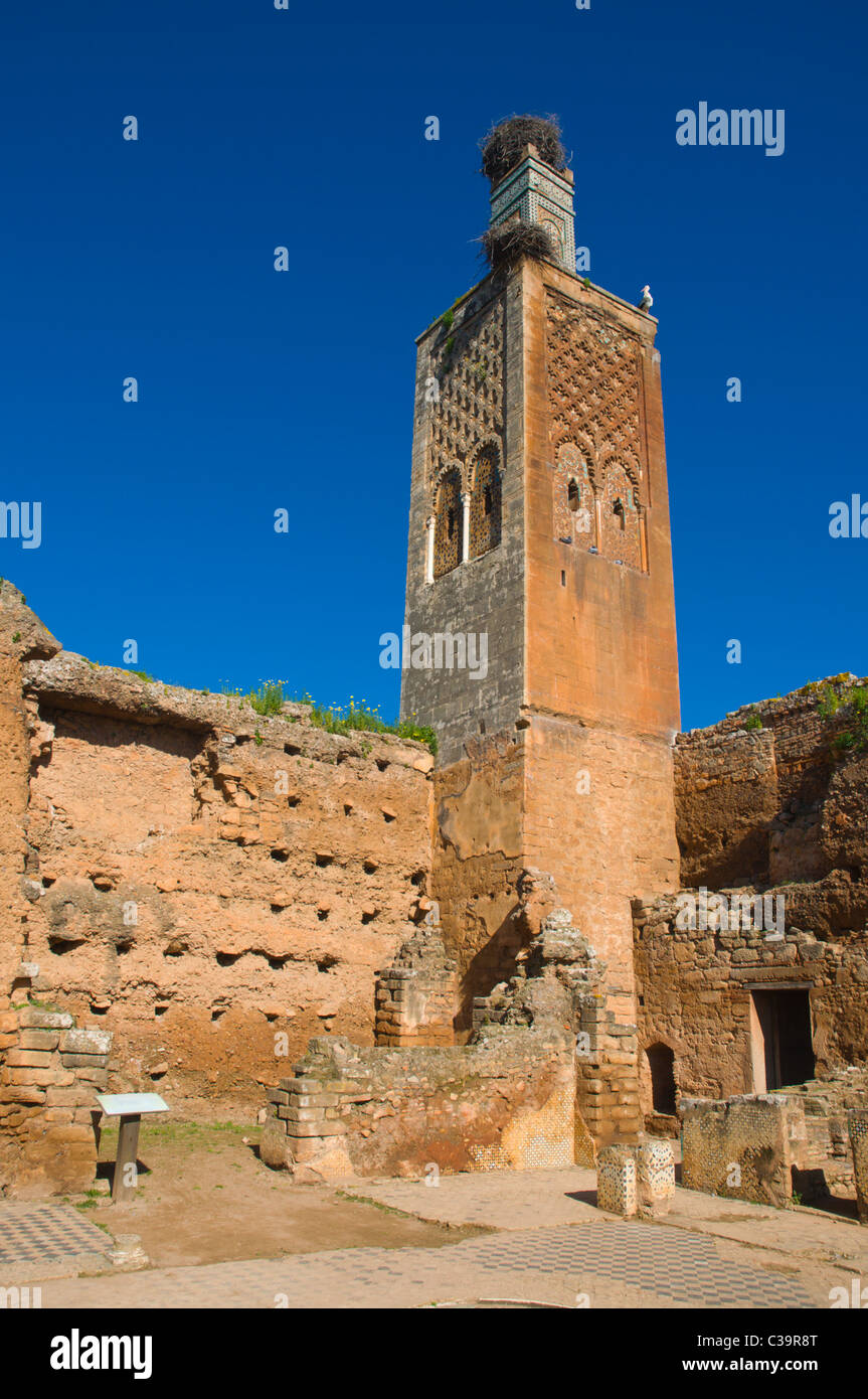 Complexe islamique surmonté de cigognes à la nécropole Chellah Rabat ...