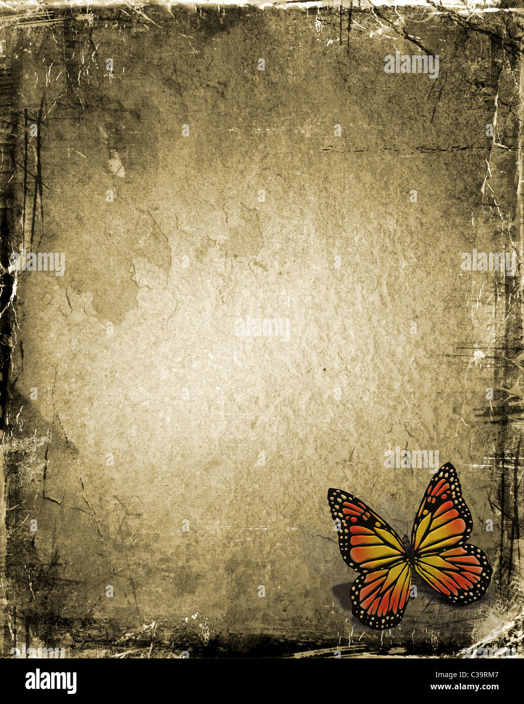 Papillon sur grunge background Banque D'Images
