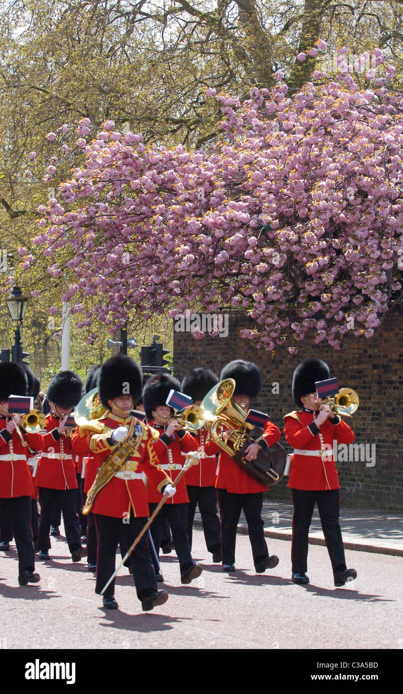 Relève de la garde à Buckingham Palace à Londres. Banque D'Images