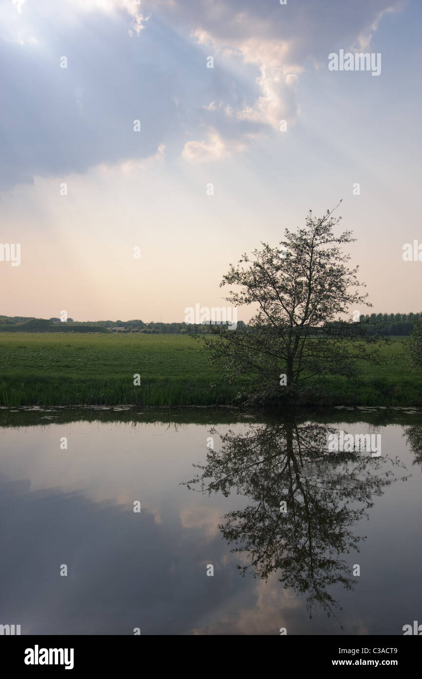 Paysage rural avec reflet dans l'arbre et la rivière du soleil entre les nuages Banque D'Images