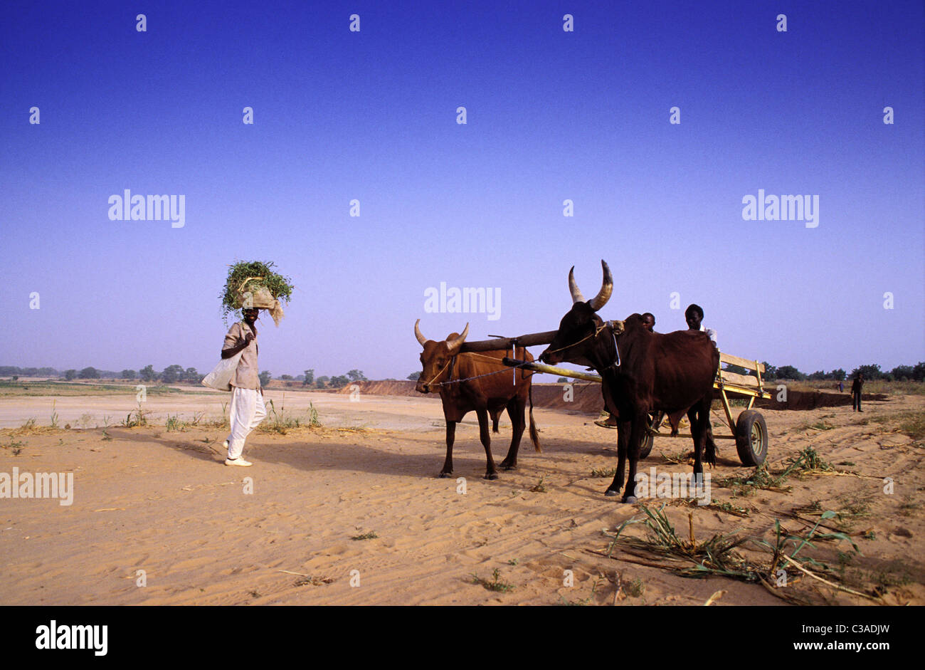 Maradi niger Banque de photographies et d’images à haute résolution Alamy