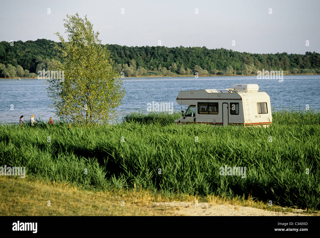 France, Marne, les lacs de la forêt d'Orient près de la ville de Chalon en Champagne Banque D'Images