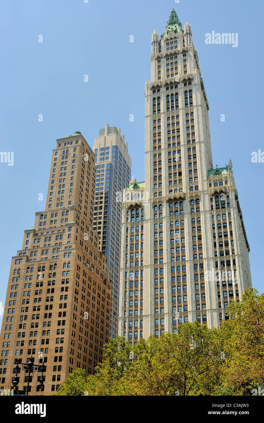 Woolworth Building à new york city Banque D'Images