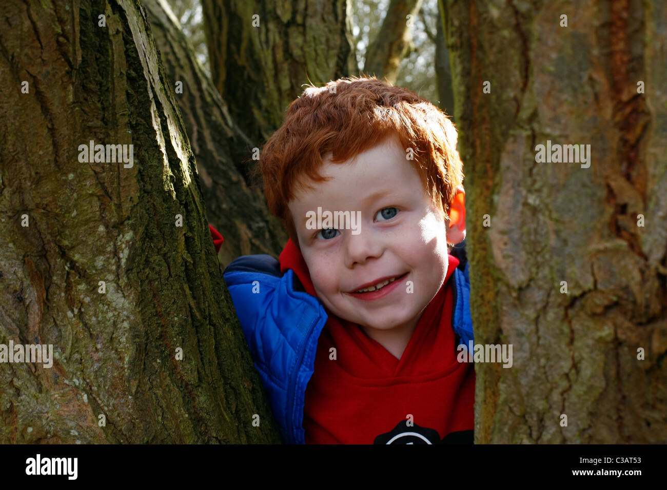 Un garçon de 7 ans jouant dans les bois. Banque D'Images