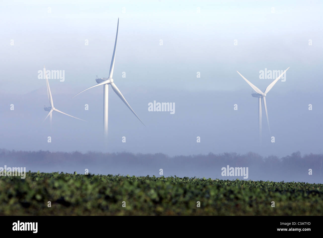 Ferme éolienne près de Sedgefield, comté de Durham. UK Banque D'Images