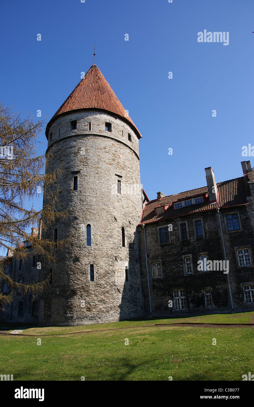 Tallinn, tour de la vieille ville Banque D'Images