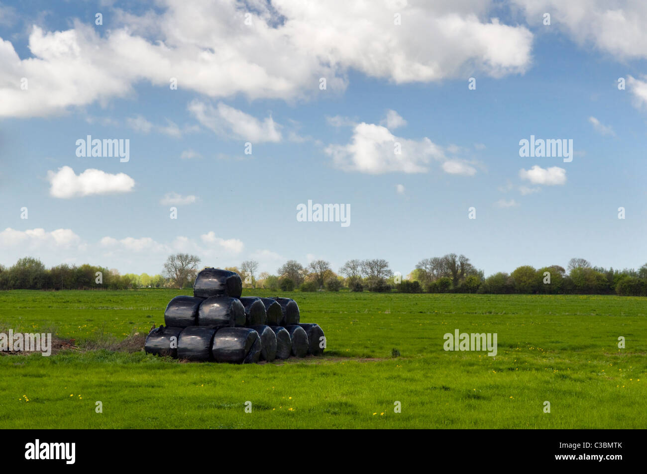 Bottes de foin enveloppés de plastique noir dans le champ près de Fenny château sur les niveaux de Somerset uk prise contre un ciel bleu Banque D'Images
