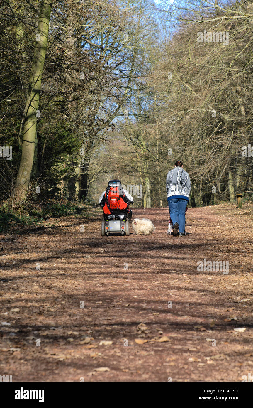 Femme avec poussette et chien, avec l'homme en mobilité buggy, sur chemin boisé - vue arrière Banque D'Images