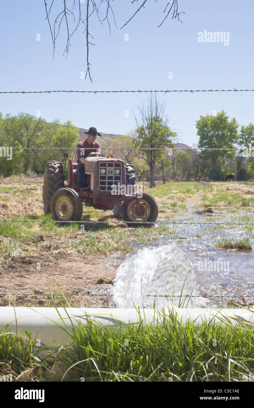 L'eau pour l'agriculture et l'élevage est un bien précieux dans les Hondo Valley, New Mexico. Banque D'Images