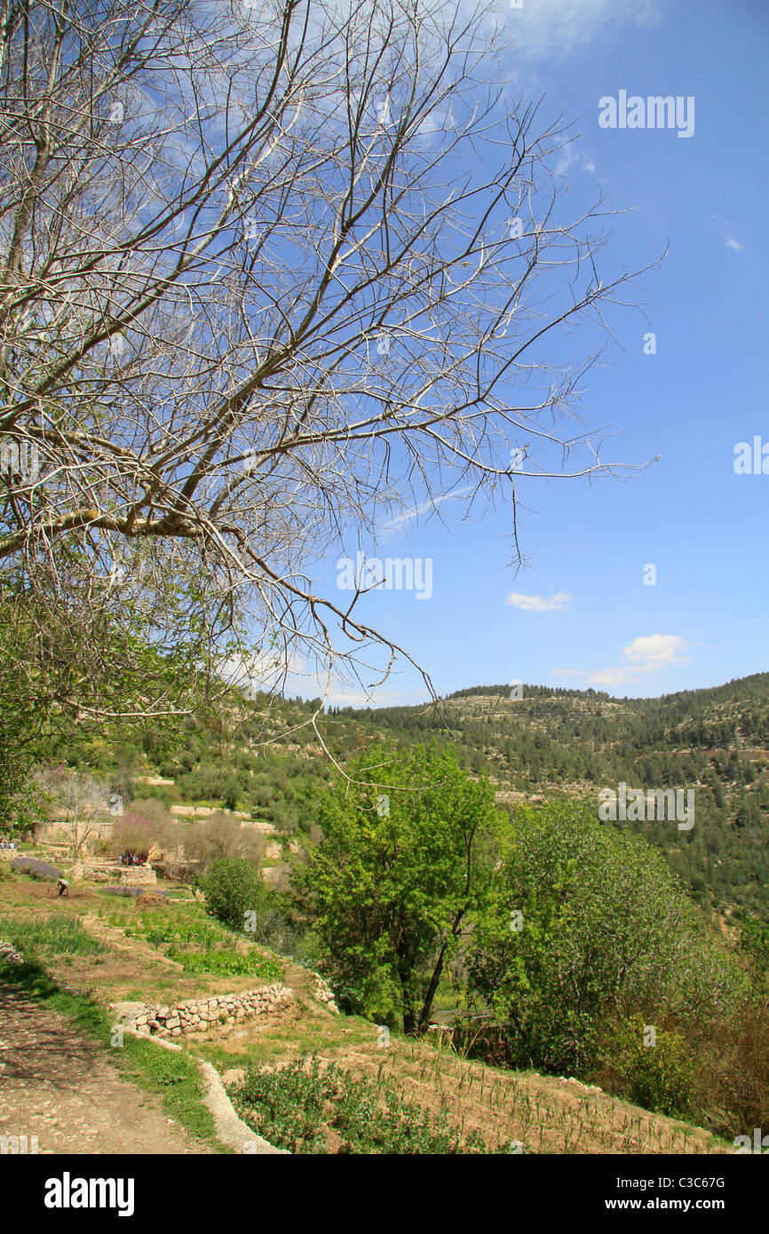 Israël, Jérusalem montagnes, vue de Sataf Banque D'Images