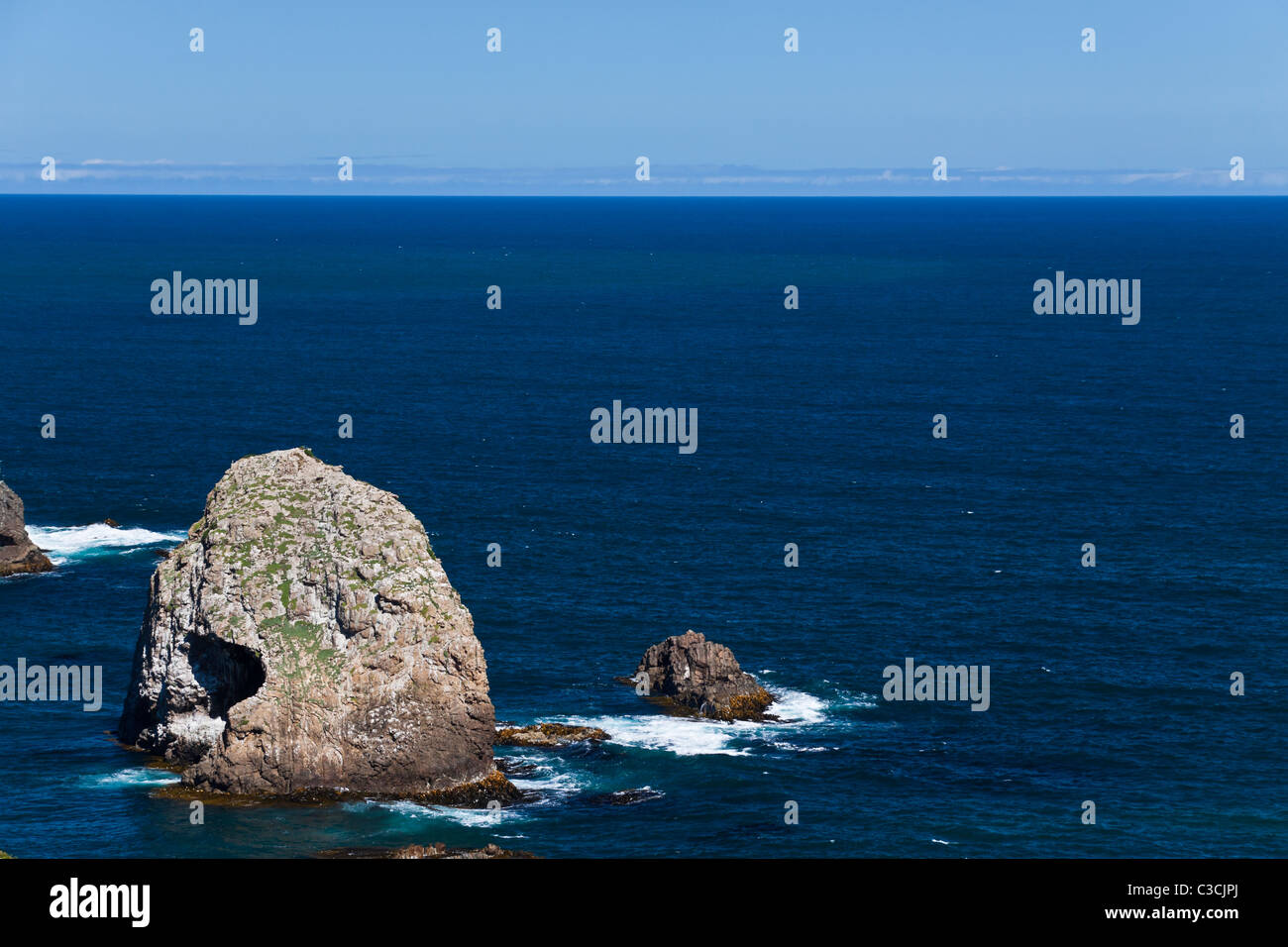 Les roches Nugget Point, île du Sud, Nouvelle-Zélande Banque D'Images