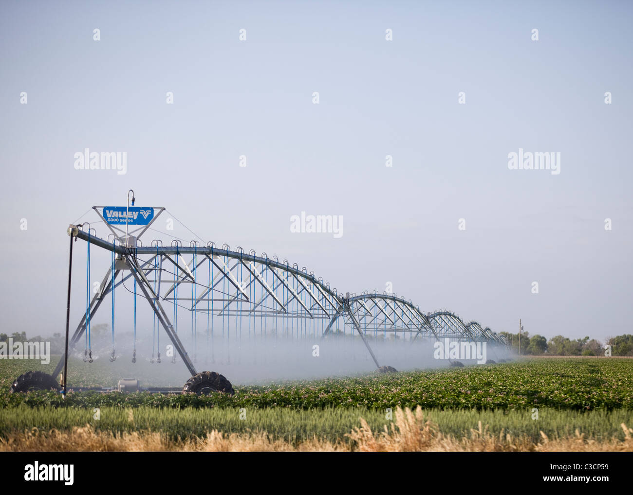 Système d'irrigation des cultures agricoles Banque D'Images