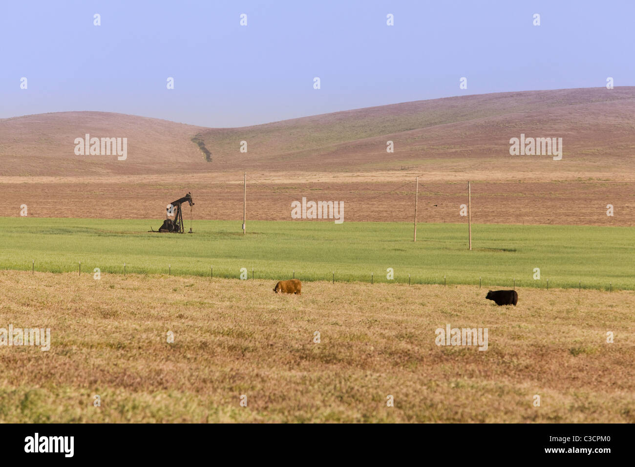 Jack la pompe au milieu d'une ferme - Kern River Oil Field, Coalinga, California USA Banque D'Images