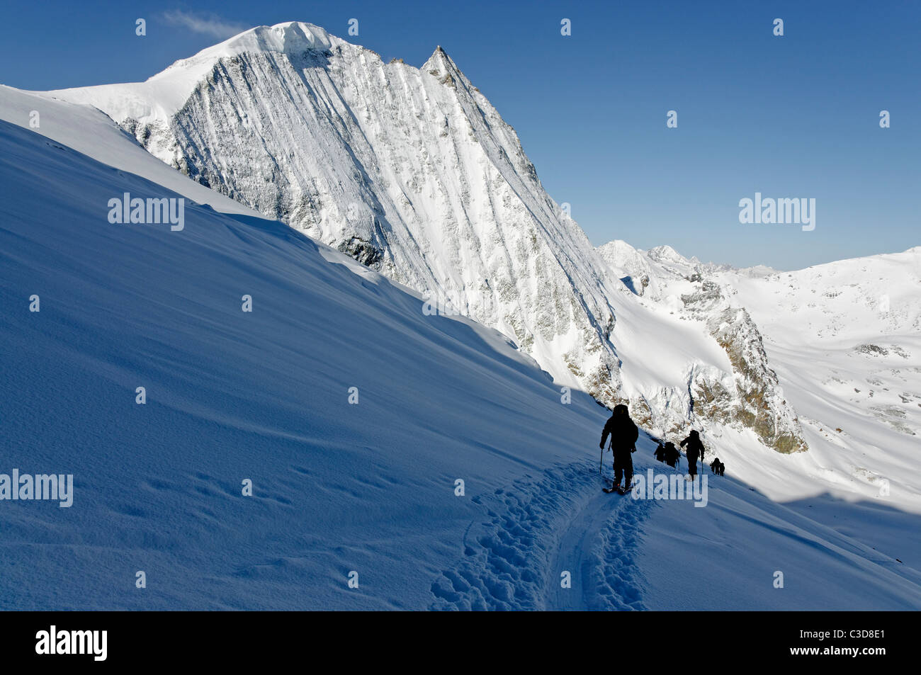 Escalade Ski de randonnée le Glacier de Tsena Refien sous le Mont Blanc de Cheilon sur la Haute Route, la Suisse. Banque D'Images