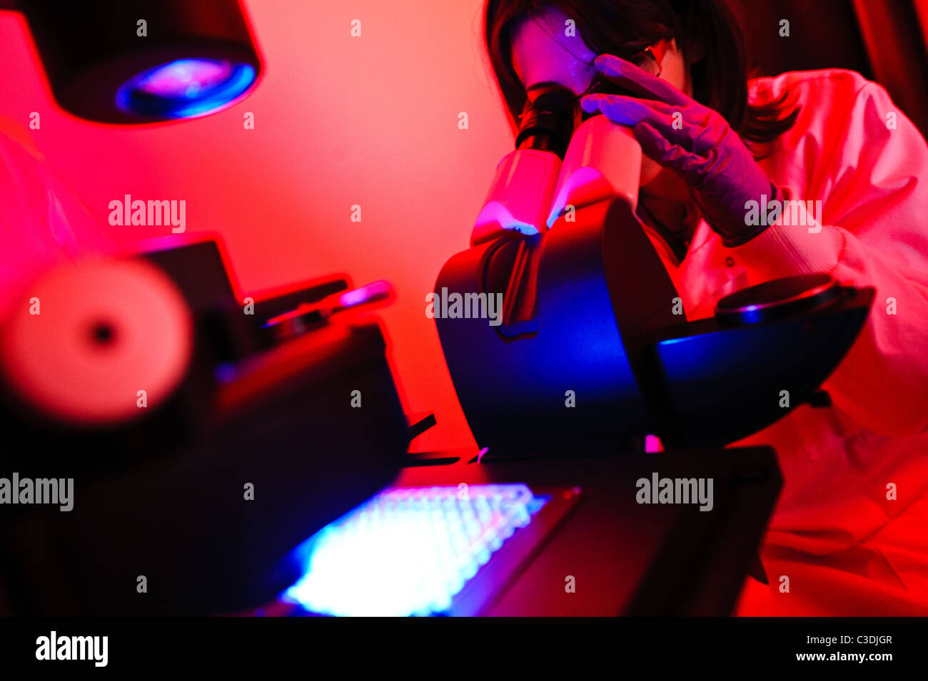 Female scientist in science darkroom avec éclairage rouge vers le bas à la microscope avec écran de l'ordinateur en arrière-plan Banque D'Images
