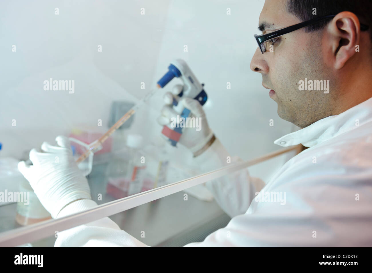 Male scientist sarrau blanc gants blancs et verres travaillant au pipetage hotte de liquides dans des flacons de laboratoire en sciences Banque D'Images