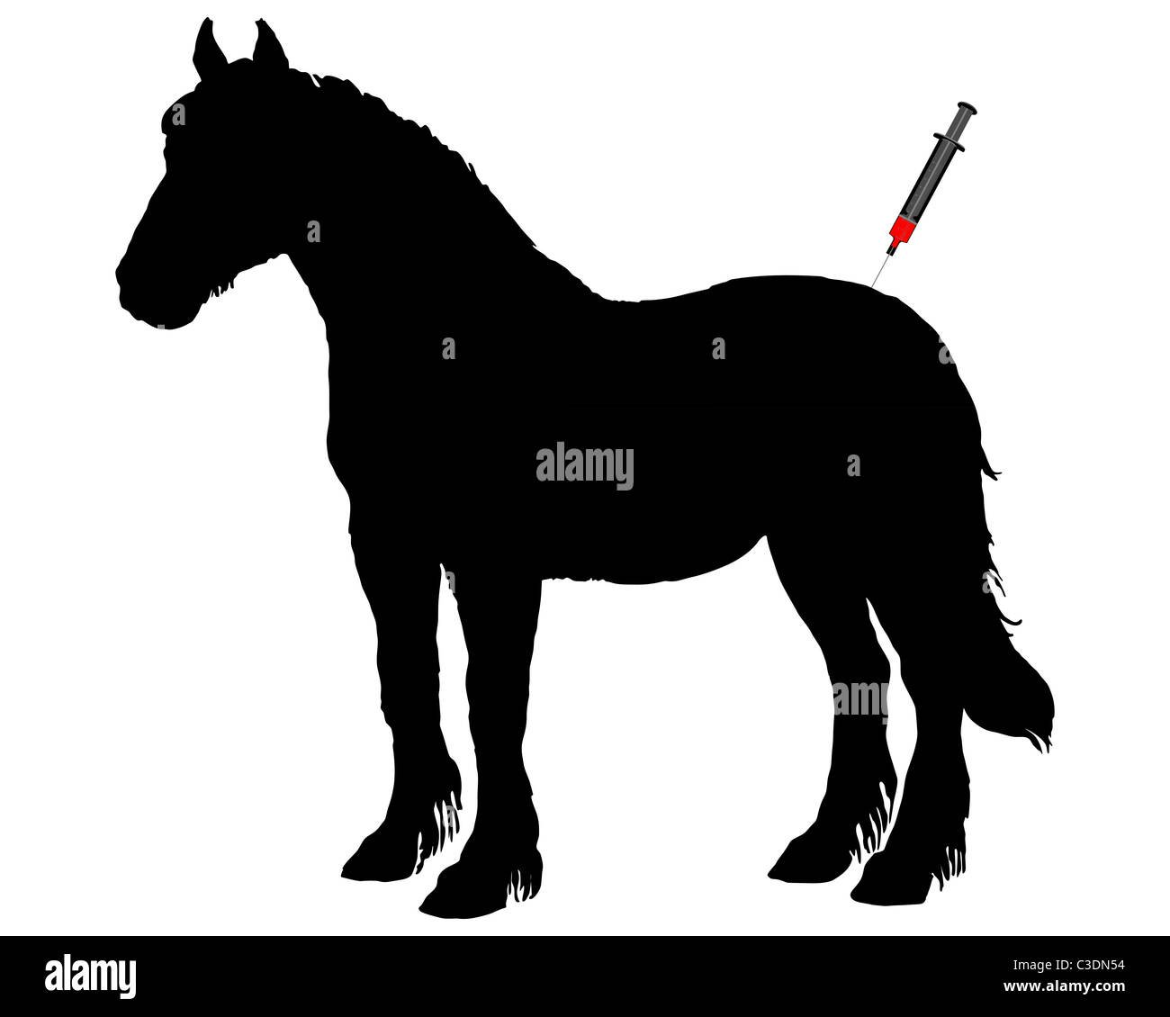 La vaccination pour les chevaux Banque D'Images