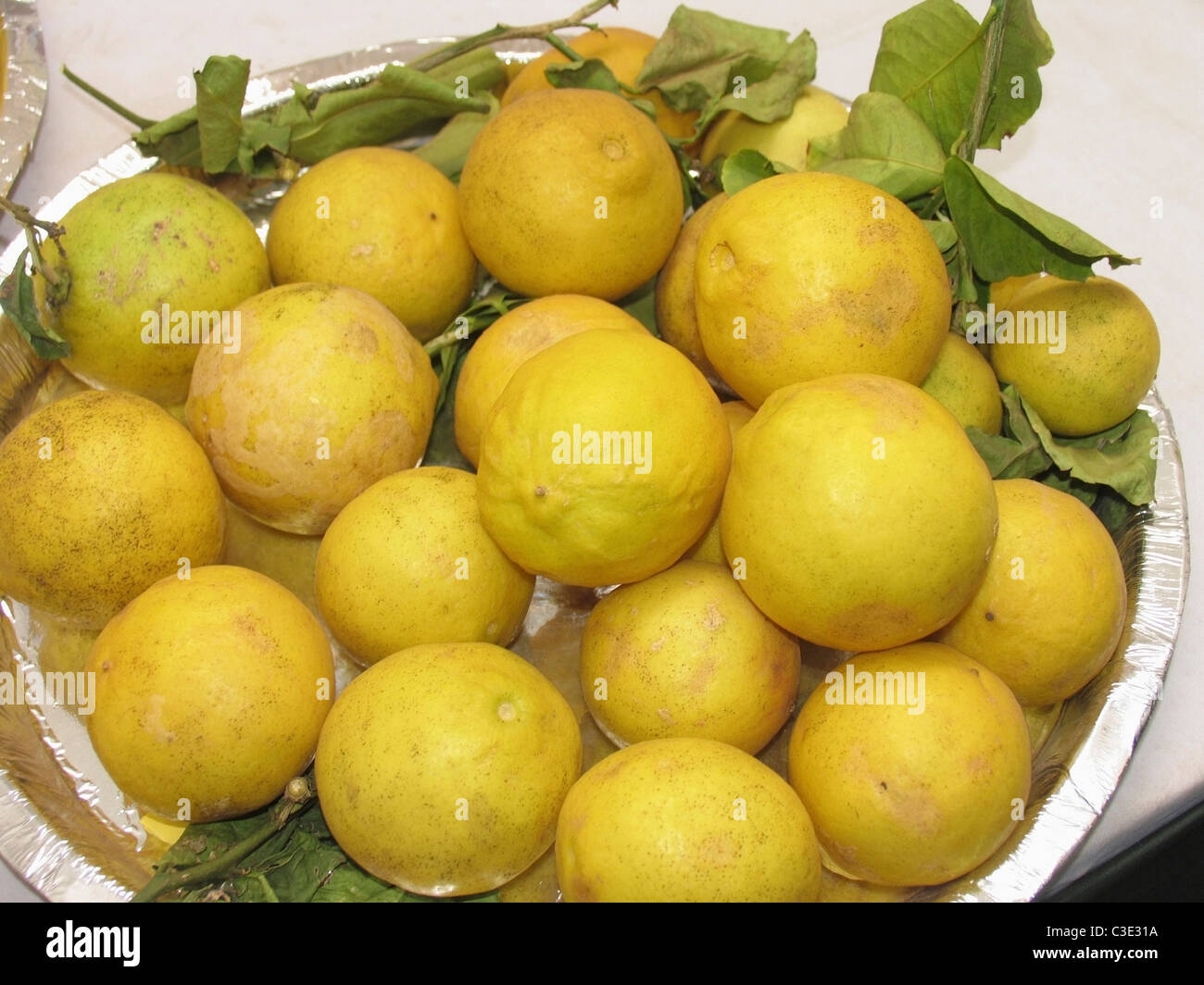 Citron, Limon, Rutacées Banque D'Images