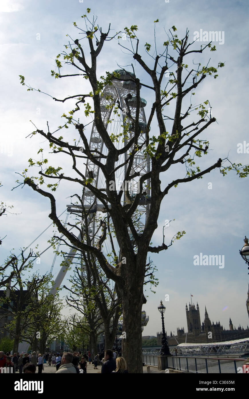 London Eye en automne. Banque D'Images