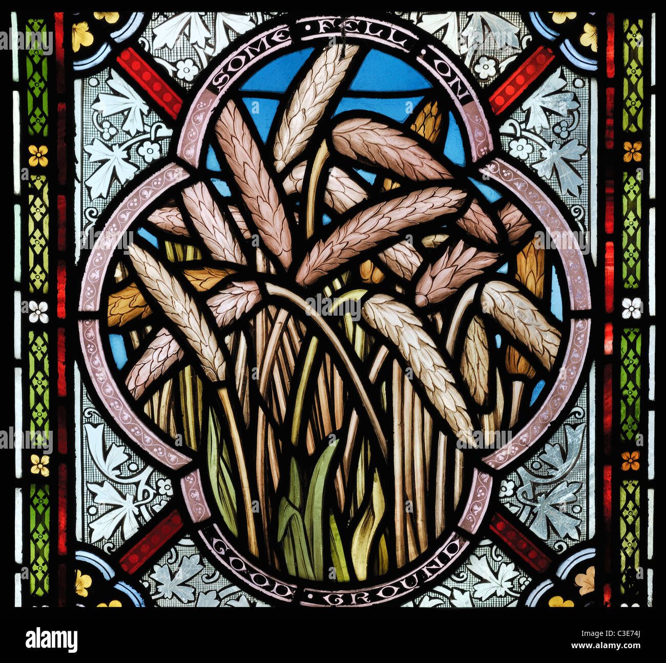 Vitrail représentant 'seeds qui étaient tombés dans la bonne terre", l'église St Mary, Burnham Deepdale, Norfolk, Angleterre Banque D'Images