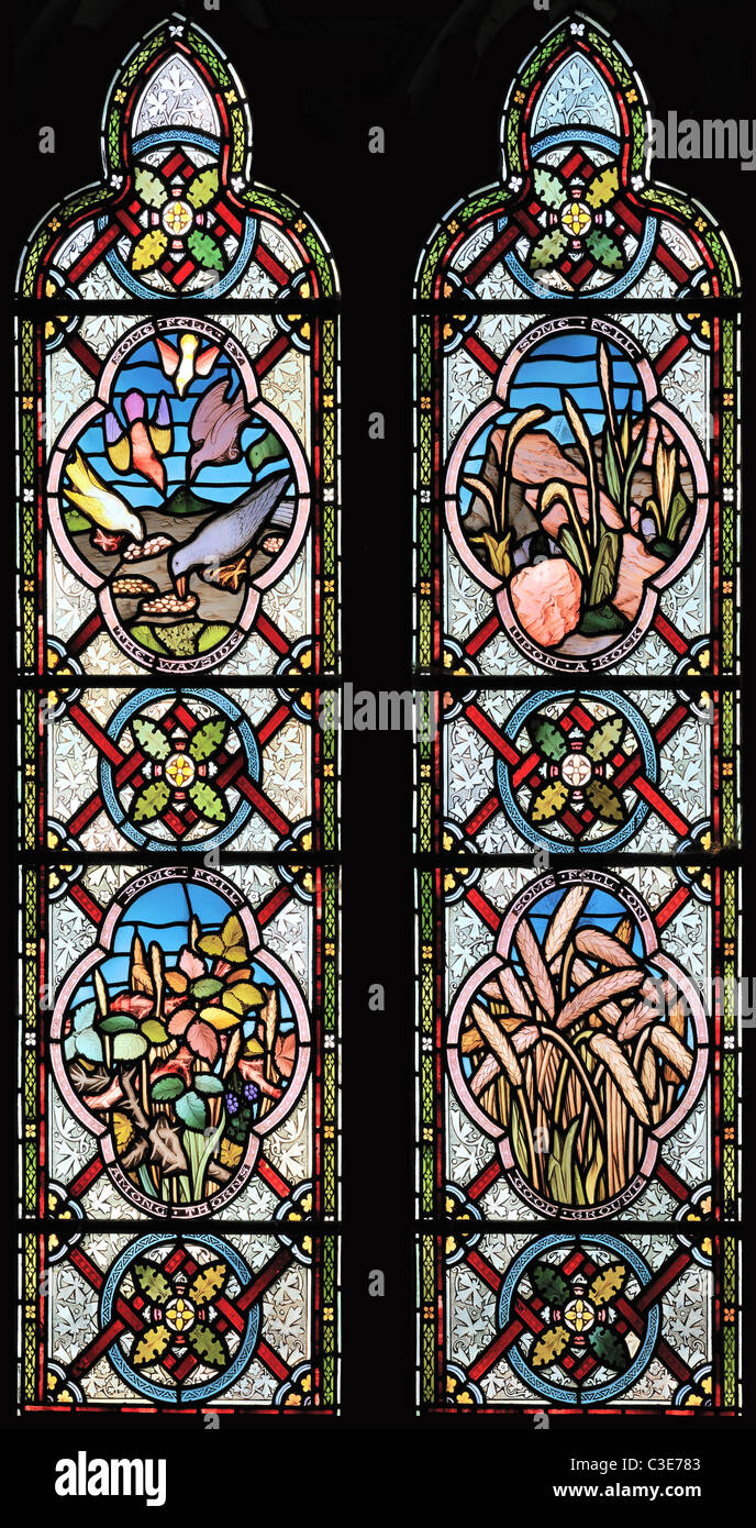 Vitrail représentant la parabole du semeur, de l'église St Mary, Burnham Deepdale, Norfolk, Angleterre Banque D'Images