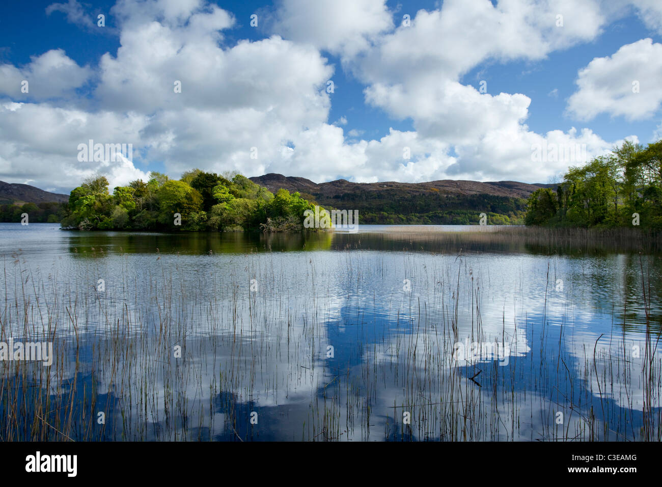 Réflexions d'été, Lough Gill, Comté de Sligo, Irlande. Banque D'Images