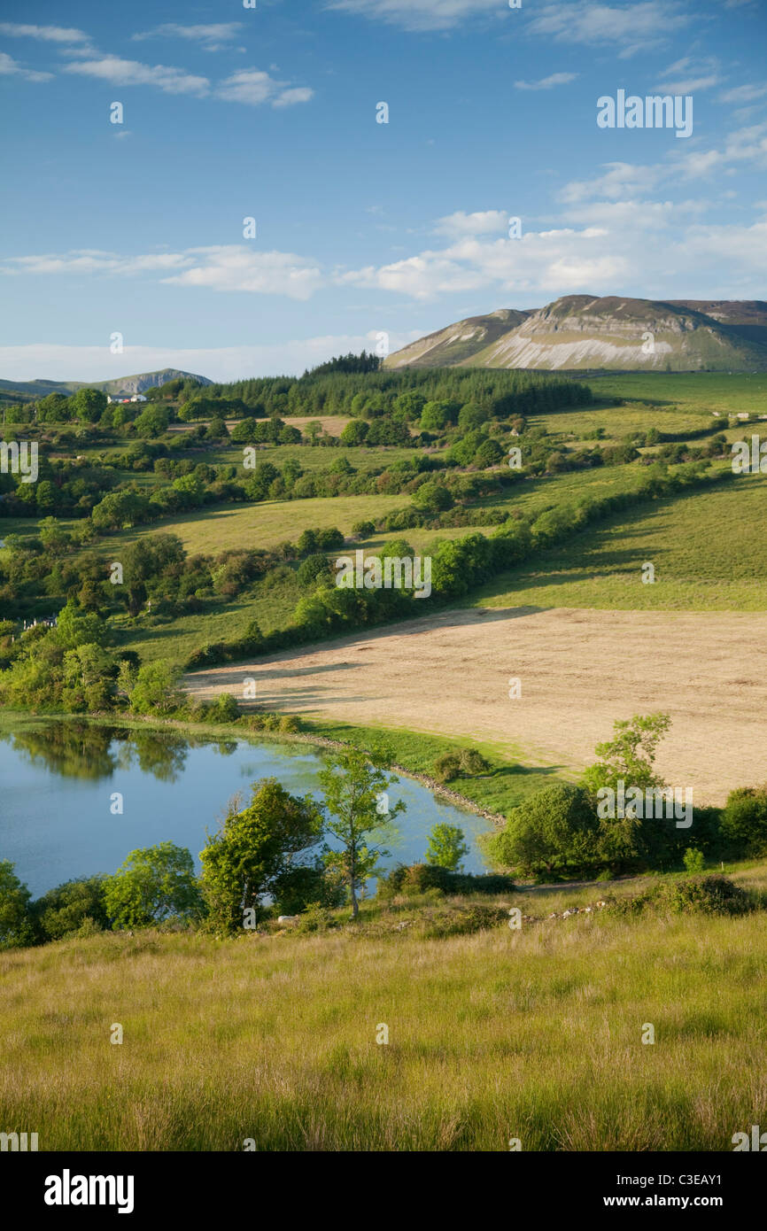 Champs d'été Colgagh environnante Lough, Comté de Sligo, Irlande. Banque D'Images
