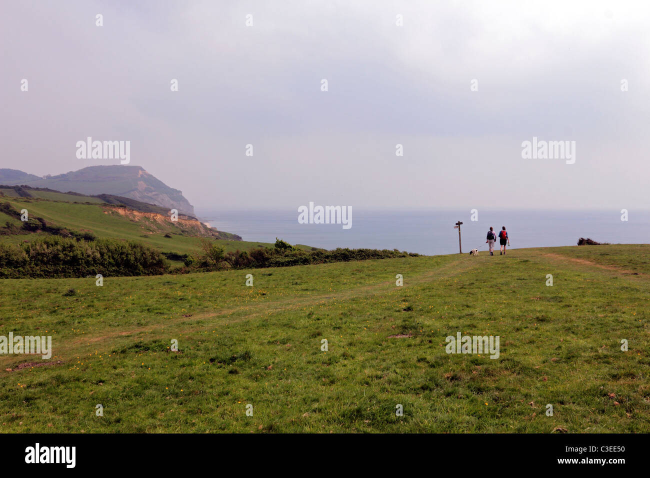 Vue vers la Golden Cap Dorset, Angleterre, Royaume-Uni Banque D'Images