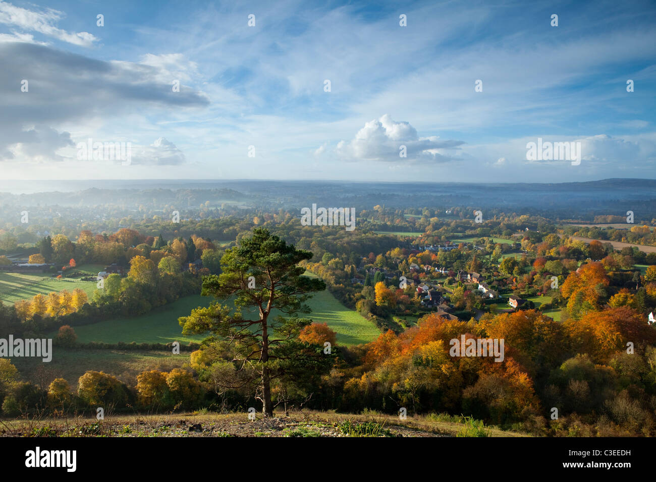 Vue de l'automne au sud de Reigate Hill Colley les North Downs Surrey England Banque D'Images