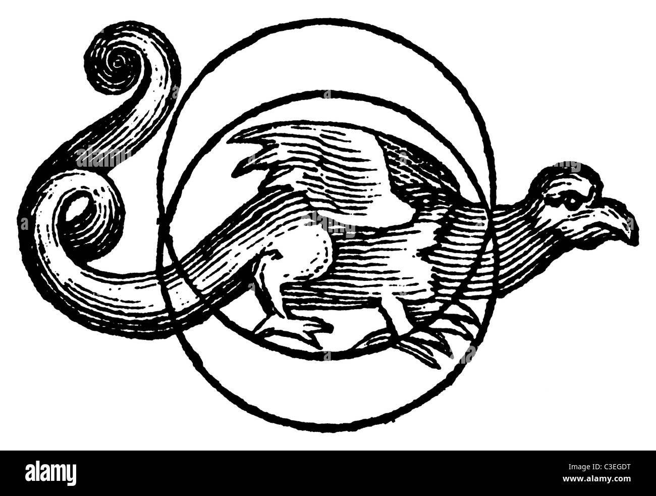 Dragon de la lune - talisman religieuse vintage/occulte de 1801 gravure sur bois Banque D'Images