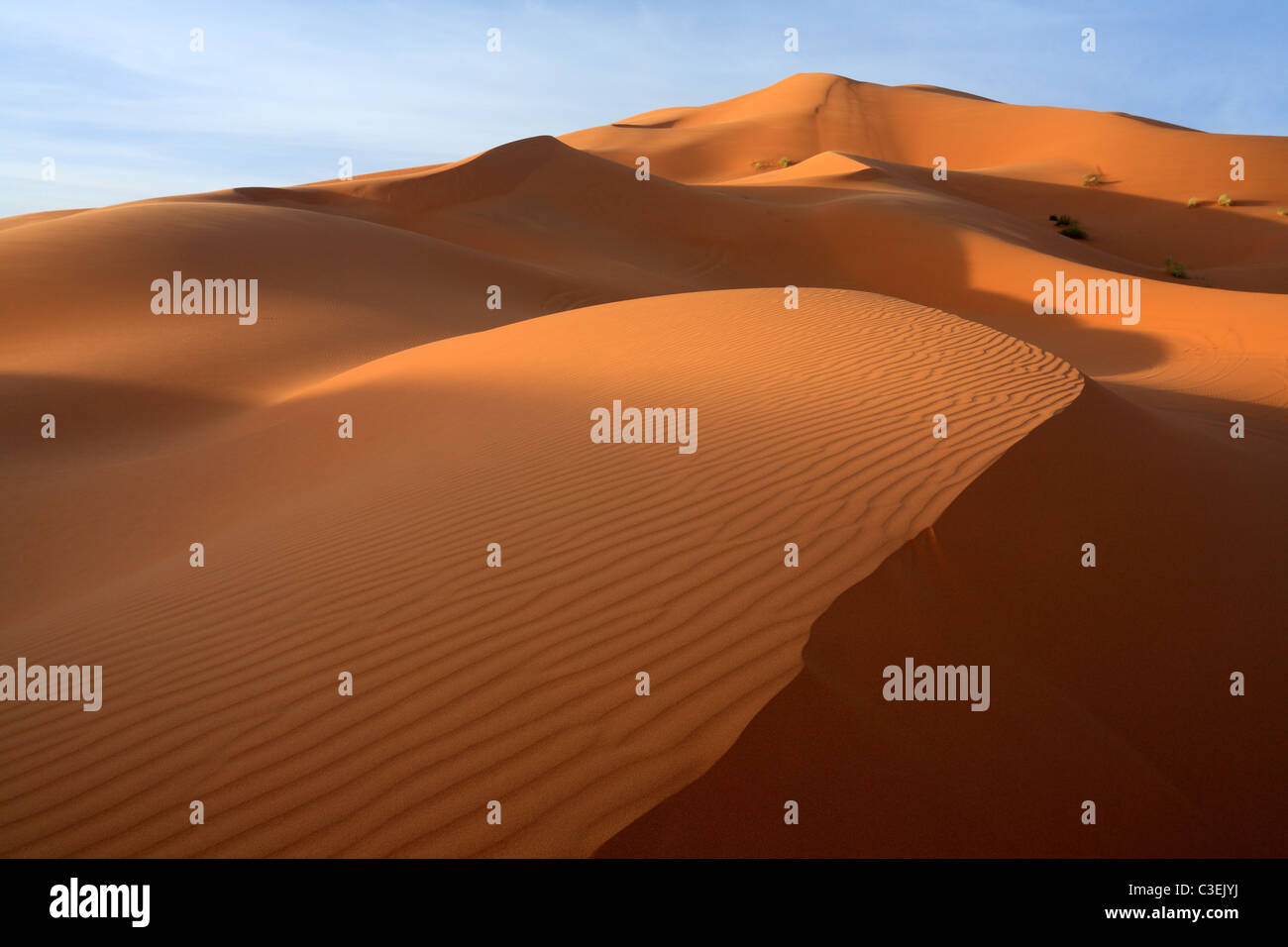 Tôt le matin, la lumière sur les énormes dunes de l'Erg Chebbi près de Merzouga au Maroc Banque D'Images