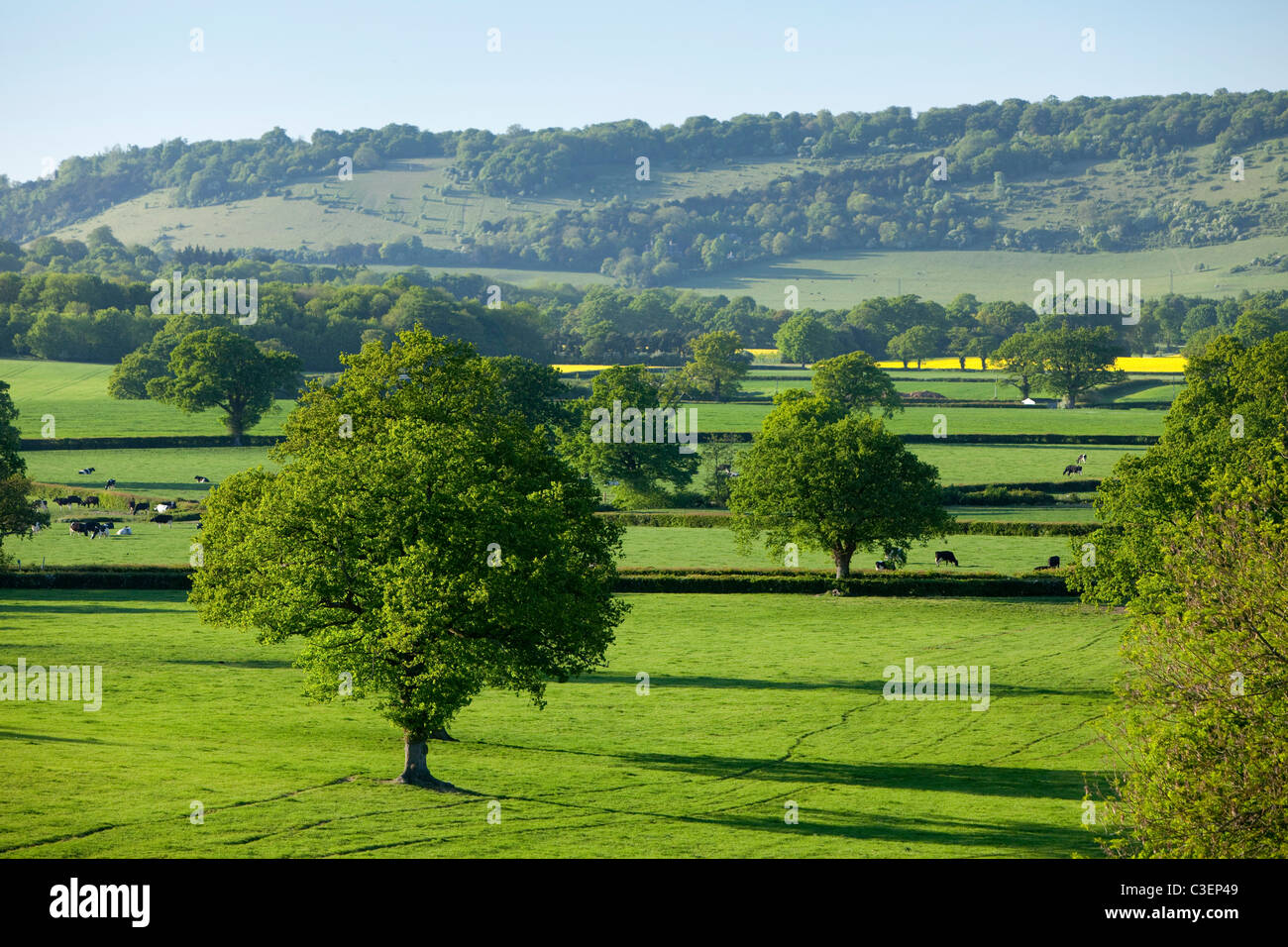 Voir des terres agricoles ,campagne et les North Downs et fort Hill, Headley, collines du Surrey, Surrey, Angleterre Banque D'Images