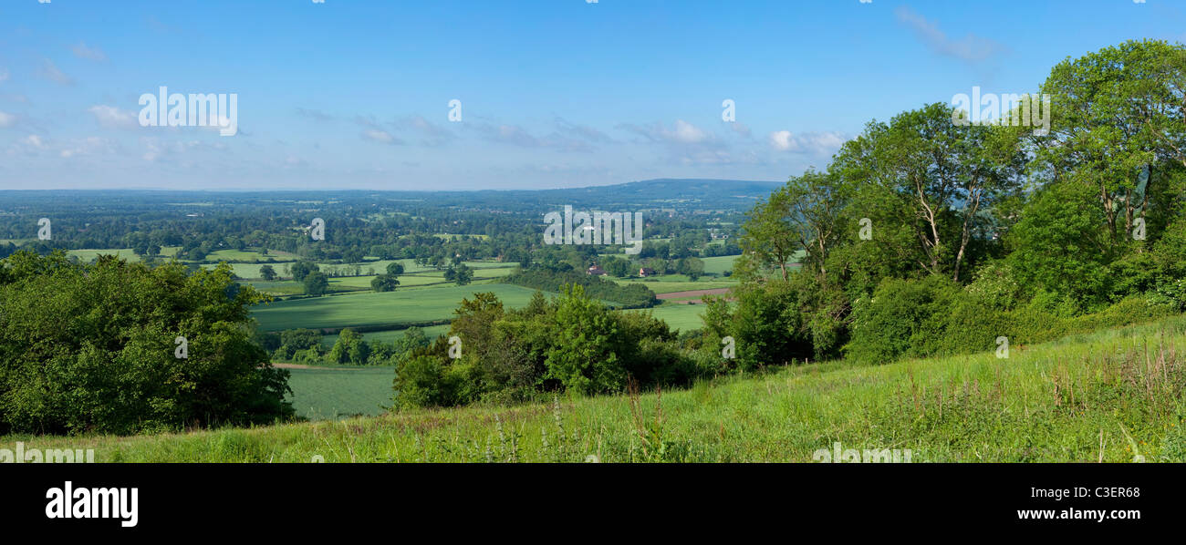 Vue panoramique sur les collines du Surrey de Colley Hill près de Reigate en été, des champs verts, le ciel bleu, les nuages blancs en Angleterre Banque D'Images