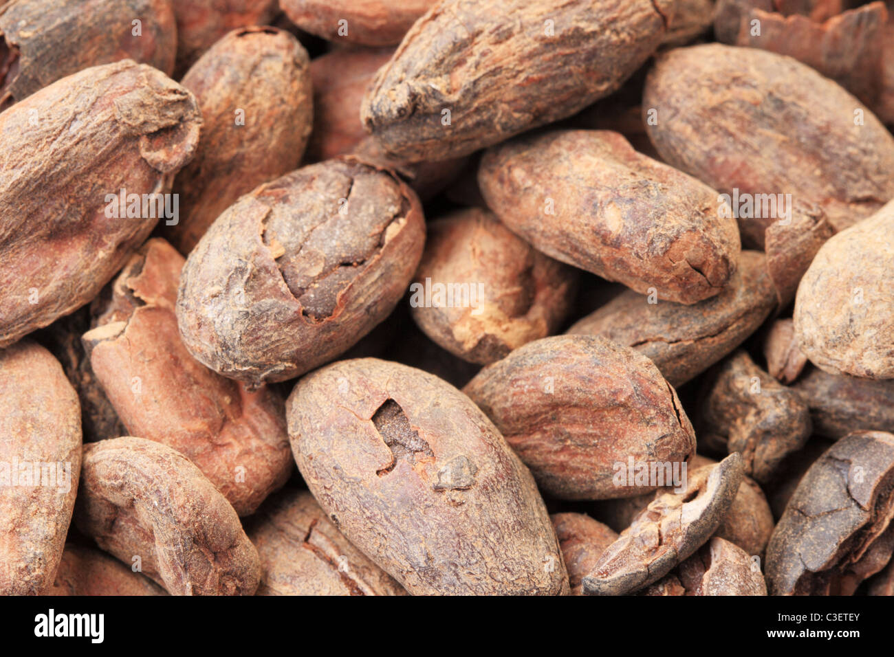 Les fèves de cacao cacao ou macro image Banque D'Images