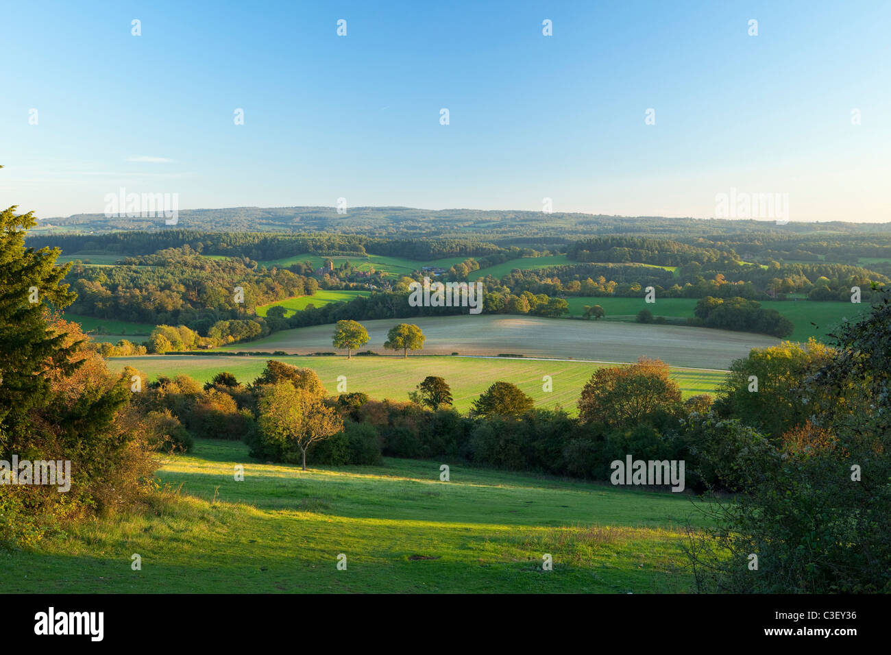 Voir l'automne de Newlands corner sur les collines du Surrey et Albury Banque D'Images