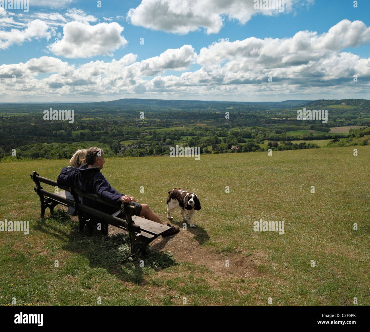 Couple avec chien appréciant les North Downs. Banque D'Images